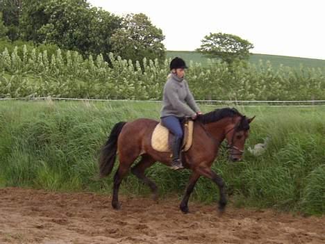 Anden særlig race Mademoiselle * solgt * - Sys bar hun går så fint her.. mit yndlingsbillede af Mademoiselle.. billede 8
