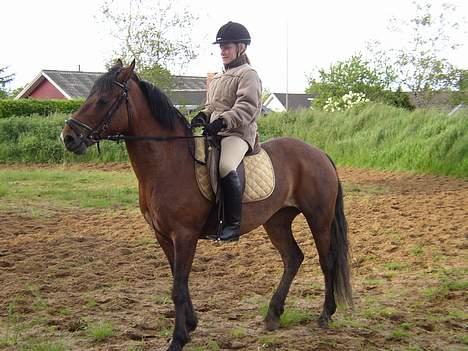 Anden særlig race Mademoiselle * solgt * - Og holdt.. billede 13