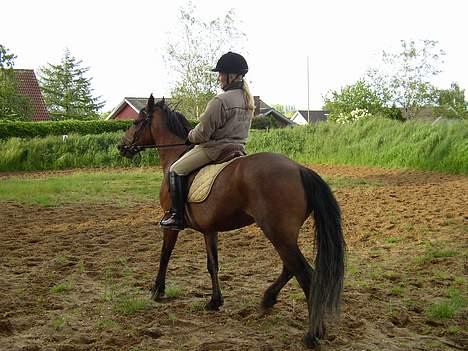 Anden særlig race Mademoiselle * solgt * billede 14