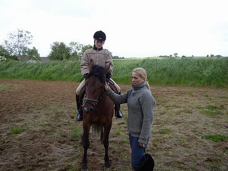 Anden særlig race Mademoiselle * solgt * billede 15