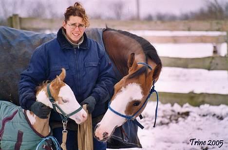 Paint Gambler Emmelie - Copyright Trine Christensen billede 20