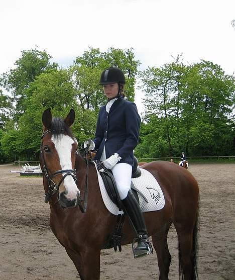 Anden særlig race Miss Put - Også i bernstoffsparken. billede 2