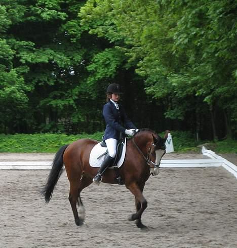 Anden særlig race Miss Put - Fra klubklassen i LB1. billede 3