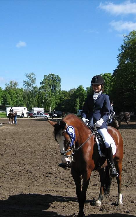 Anden særlig race Miss Put - :) billede 6