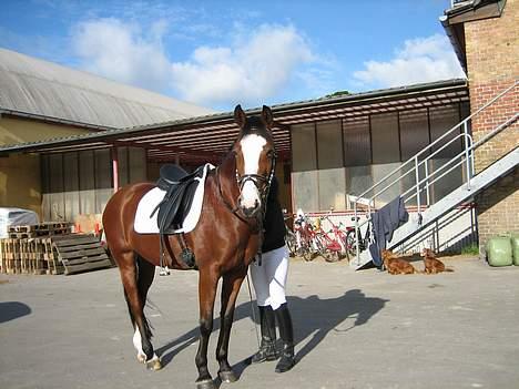 Anden særlig race Miss Put - <3 billede 11