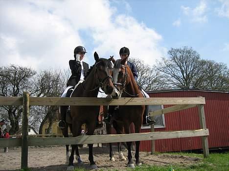 Anden særlig race Miss Put - På Fladså. (: Miss Put og Spencer. Spencer han scorer alle damer. Her har han i hver fald scoret put , haha :) billede 13