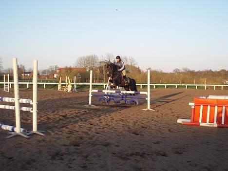 New Forest Batman R.I.P - Batter og Mig til spring undervisning. emilie er fotograf :D billede 4