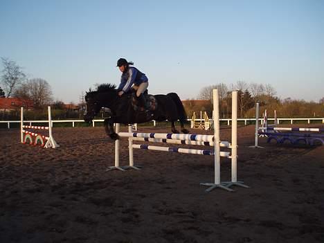 New Forest Batman R.I.P - Mig og Batter :D Til spring undervisning :D Emilie er fotograf :D billede 5