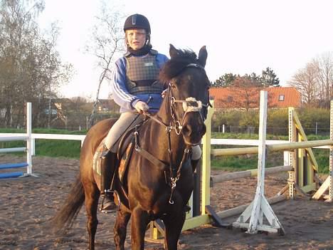 New Forest Batman R.I.P - Til spring undervisning :D billede 6