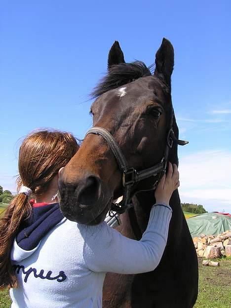 Anden særlig race Unik *DØD*  - Den dejlige tøz og " moar " <´33 d; billede 15