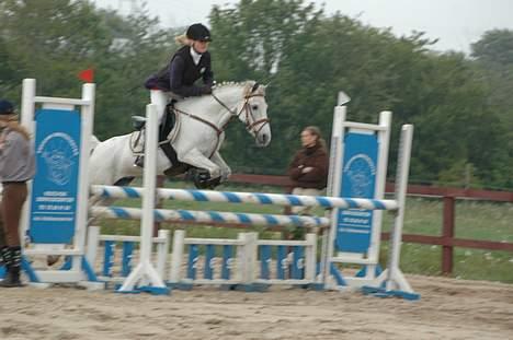 Anden særlig race Flicka(solgt ) * - i øgr vandt begge klasser billede 3