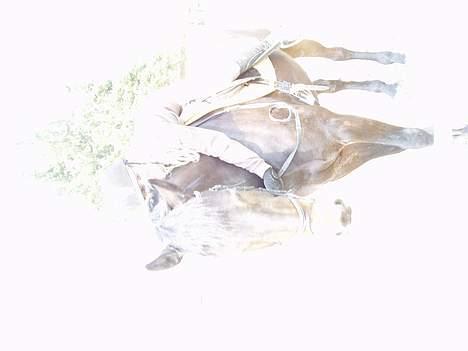 Anden særlig race Asa vav kit - Hygge.. billede 5