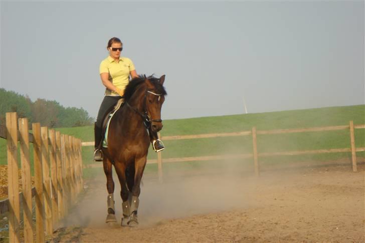 Holstener Cypresgårdens Coriane - jeg elsker min hest.. hun er dejlig...! billede 5