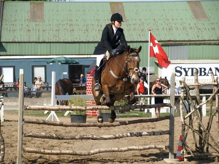 Knabstrupper Monique - Jetsmark LB Esholm-Foto.dk billede 15