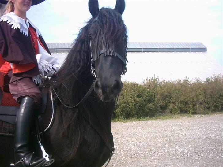 Frieser Durk T - Vilhelmsborg 19. august 2007 billede 3