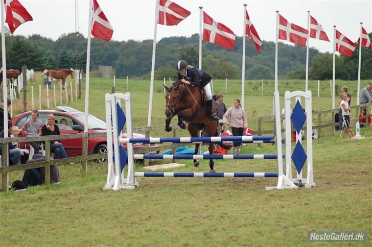 Anden særlig race Regina (Solgt) - mb,,  billede 1