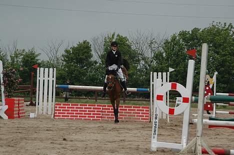 Anden særlig race Regina (Solgt) billede 3