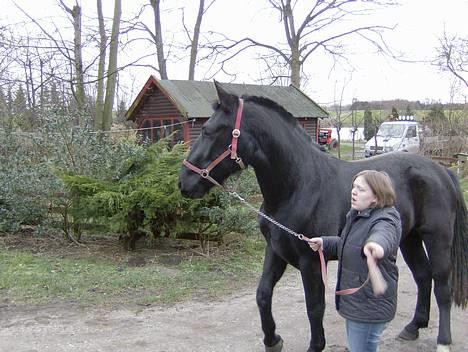 Oldenborg Diosa af stensbjerg - Taget den 21/01-07 billede 3