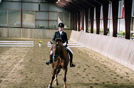 Anden særlig race Agent 007<31994 -2007 / - En lille fin schenkelvigning!! LA 1 2 pl. med 65,51% billede 19