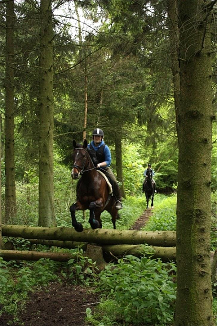 Oldenborg Kildegårds Fidelius - Fidelius i terrænet første gang nogensinde. Billedet taget af Jacob Normann billede 2