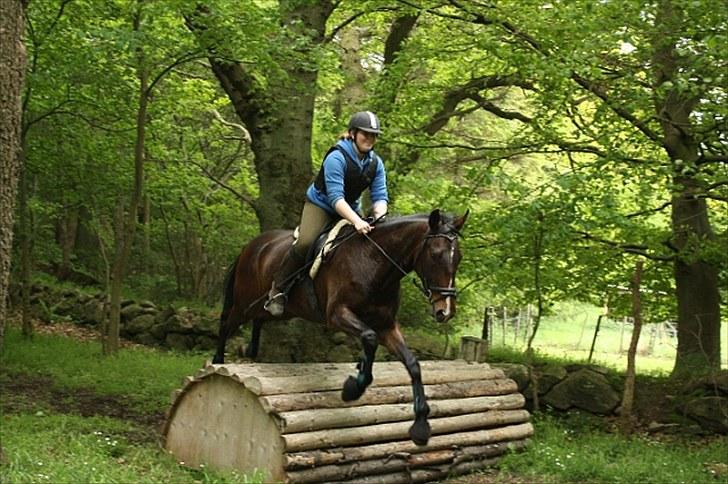 Oldenborg Kildegårds Fidelius - Fidelius i terrænet første gang nogensinde. Billedet taget af Jacob Normann billede 8