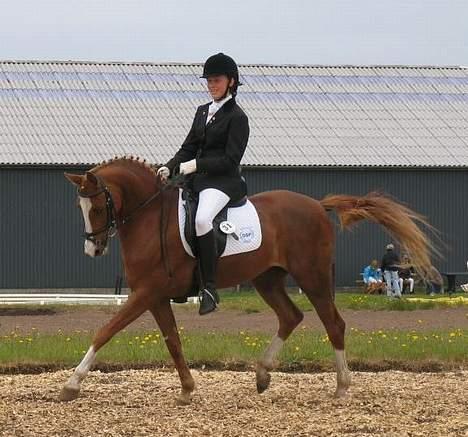 DSP Cassie - Storesøster og Cassie til stævne billede 2