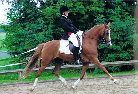 DSP Cassie - Cassie og mig :) 79,90% i la3, min dygtige pony :D billede 6