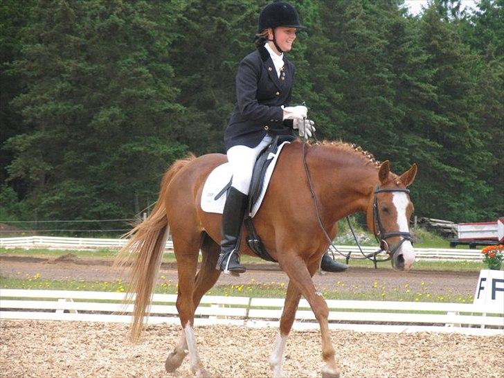 DSP Cassie - søster og cassie billede 7