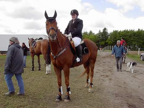 Dansk Varmblod Azarro Z RIP - Vi holder lige og kigger nogle ryttere ride, inde vi skal opvarme. Mors 2006 billede 10