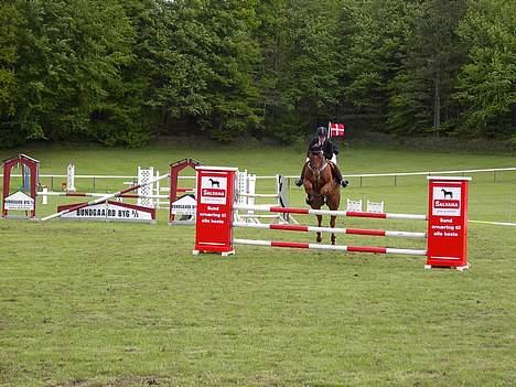 Dansk Varmblod Azarro Z RIP - Azarro og jeg på Mors 2006 LB spring billede 11