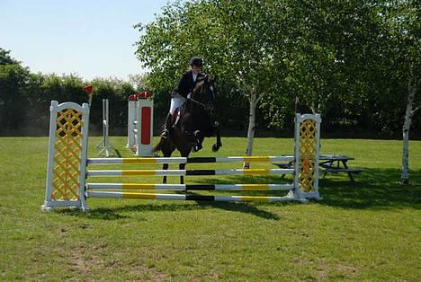 Dansk Varmblod Happy Bally (Solgt) - Næstved 2006 billede 13