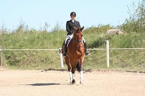 Holstener Afrodite R.I.P  - Dressur maj 06 billede 17