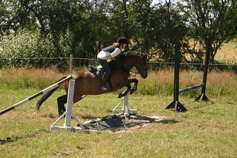 Anden særlig race † Rocky † - wiiiiiiii det er sjovt hehe! billede 19