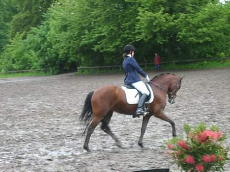 Anden særlig race Miss Put - Stævne d. 28-05-06 i Bernstoffsparken, holdmesterskab. Vi fik en 3 tredjeplads. (: Se hvor fin hun er <3 billede 18