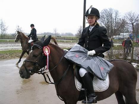 Dartmoor Sille - 1. plads, i LC eller LB. ? . Hun var mega hurtig :) billede 2