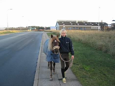 Dartmoor Sille - Den sidste dag med mulle . skulle aflevere hende ved hirtshals :´( .  billede 5