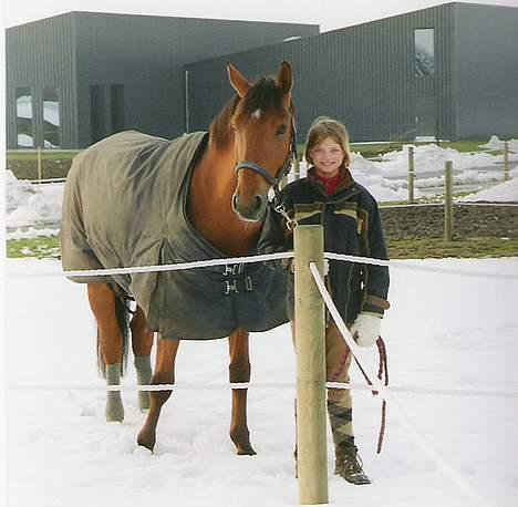 Dansk Varmblod Excalibur Fight(Calle)død - Calle og mig i vinters.. Han elsker sne billede 1