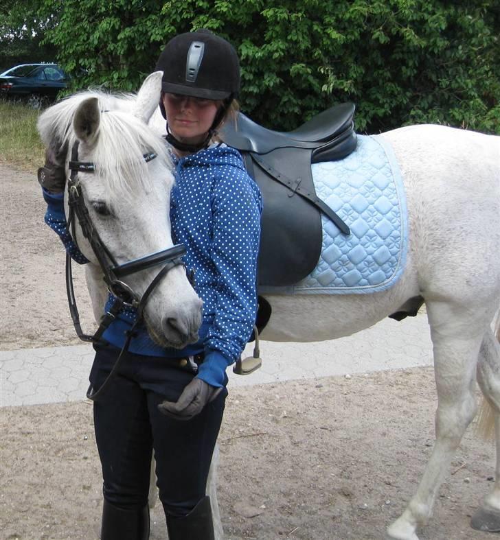 Anden særlig race Igors Silver Speedy Solgt - Lige et lille billede af Speedy og jeg. 9. juli 09 billede 10