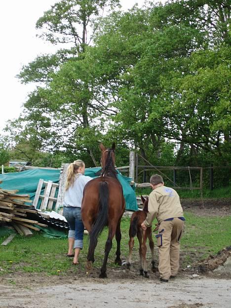 Traver Orlando Speedy - Første gang jeg skulle ud..... Jeg skulle lige have en hjælpende hånd fra, Kurt!!!  30 maj 2006 billede 2