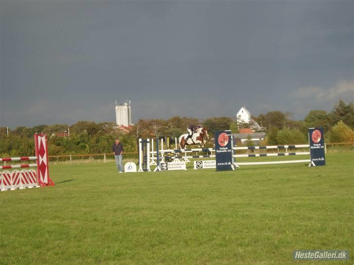 Pinto Cornelia  - Smukt spring... billede 3