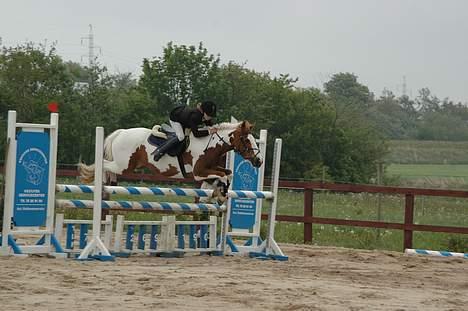 Pinto Caroline - Dygtig Line ..... billede 9