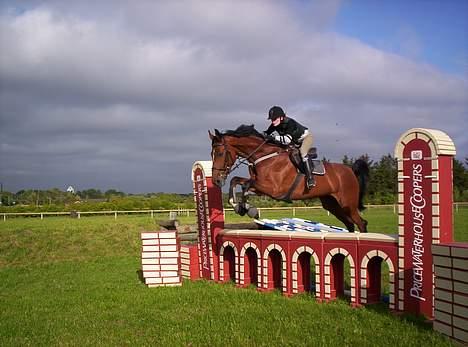 Dansk Varmblod Lelli Leth - her springer vi mur billeder er taget af: Sandra Wanner billede 12