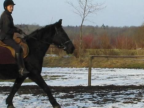 Oldenborg Donna <,3 billede 19