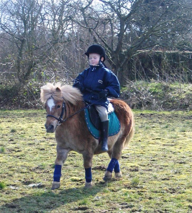 Shetlænder Sanne Bomlund  - Søde lille Sanne og min bror billede 14