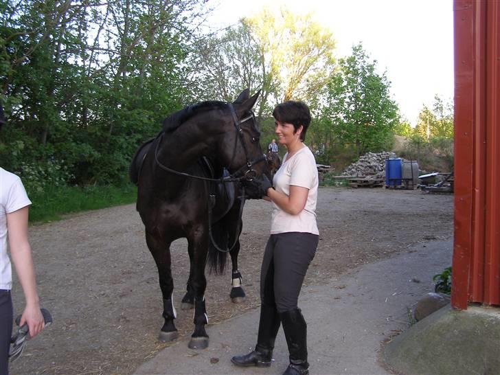 Anden særlig race Trojka (Himmelhest) - 9. maj 08 billede 7