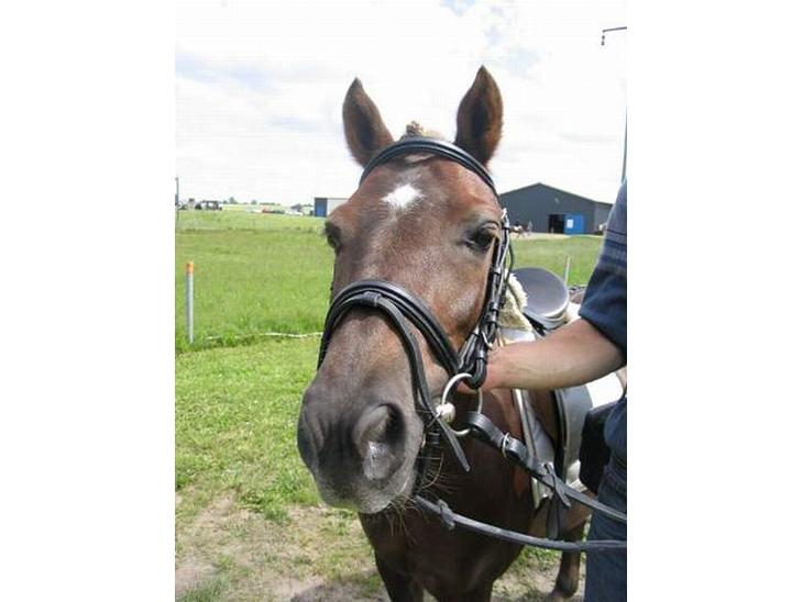 {{currentPhoto.altText}} billede {{currentPhoto.number}}