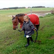 Anden særlig race Enggårdens Flacki {Himmelheste}