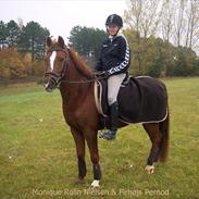 DSP  firhøjs Pernod <3