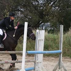 DSP Buegårds Saturn Solgt :'(