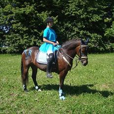 New Forest Dancing Queen